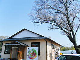 2011_0413和田農園さくら0005.JPG